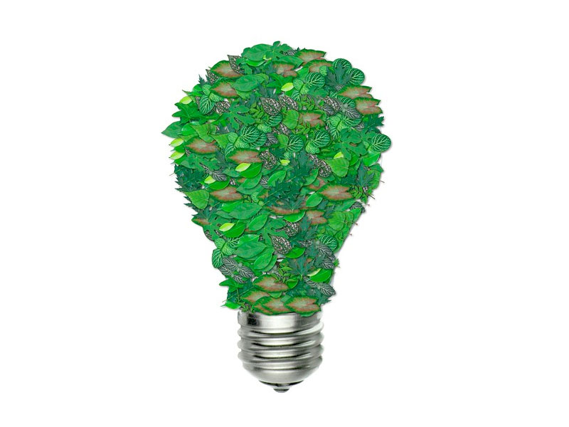 Regalos personalizados ecológicos - Grupo Iberoa