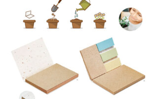 Papel con semillas, original y ecofriendly - Grupo Iberoa