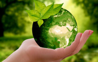 Merchandising Ecoplus, nueva línea sostenible - Grupo Iberoa