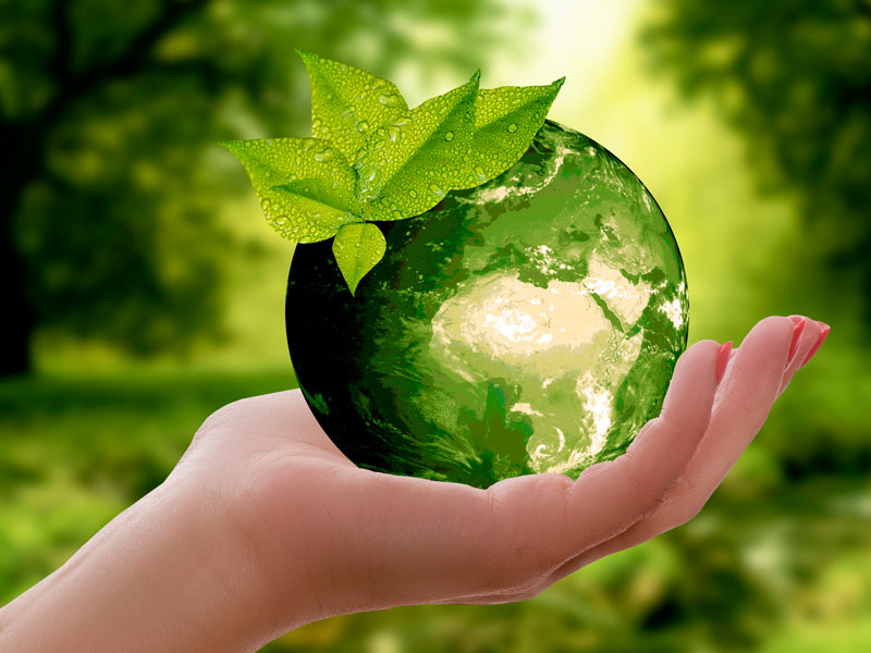 Merchandising Ecoplus, nueva línea sostenible - Grupo Iberoa