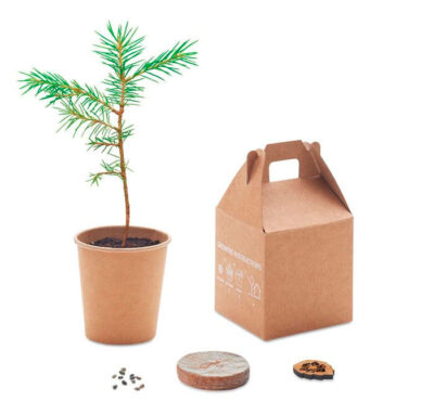 macete para plantar un pino - Grupo Iberoa