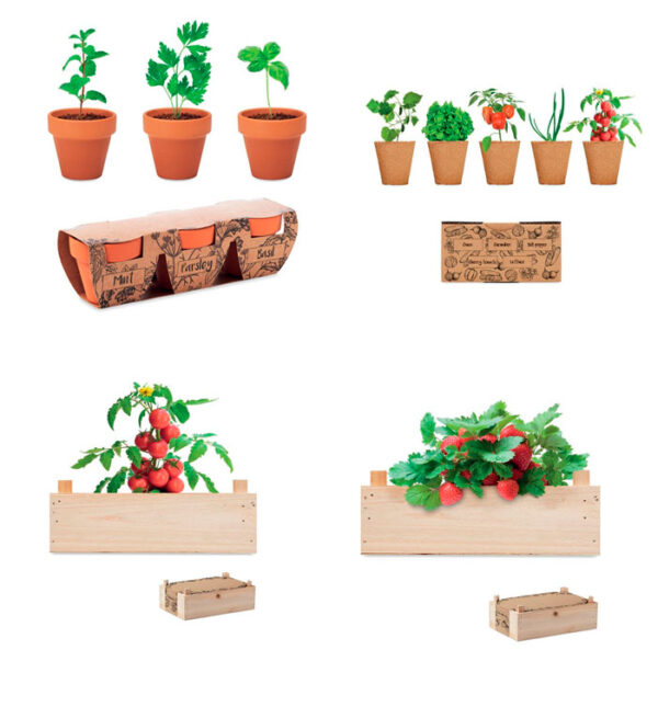 Kits para verduras y hierbas aromáticas - regalos personalizados de jardinería - Grupo Iberoa