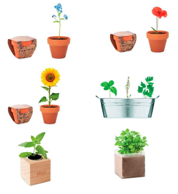 otros regalos personalizados de jardinería - Grupo Iberoa
