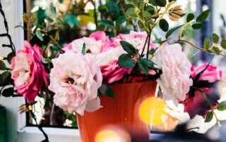 Regalos promocionales primaverales con Grupo Iberoa